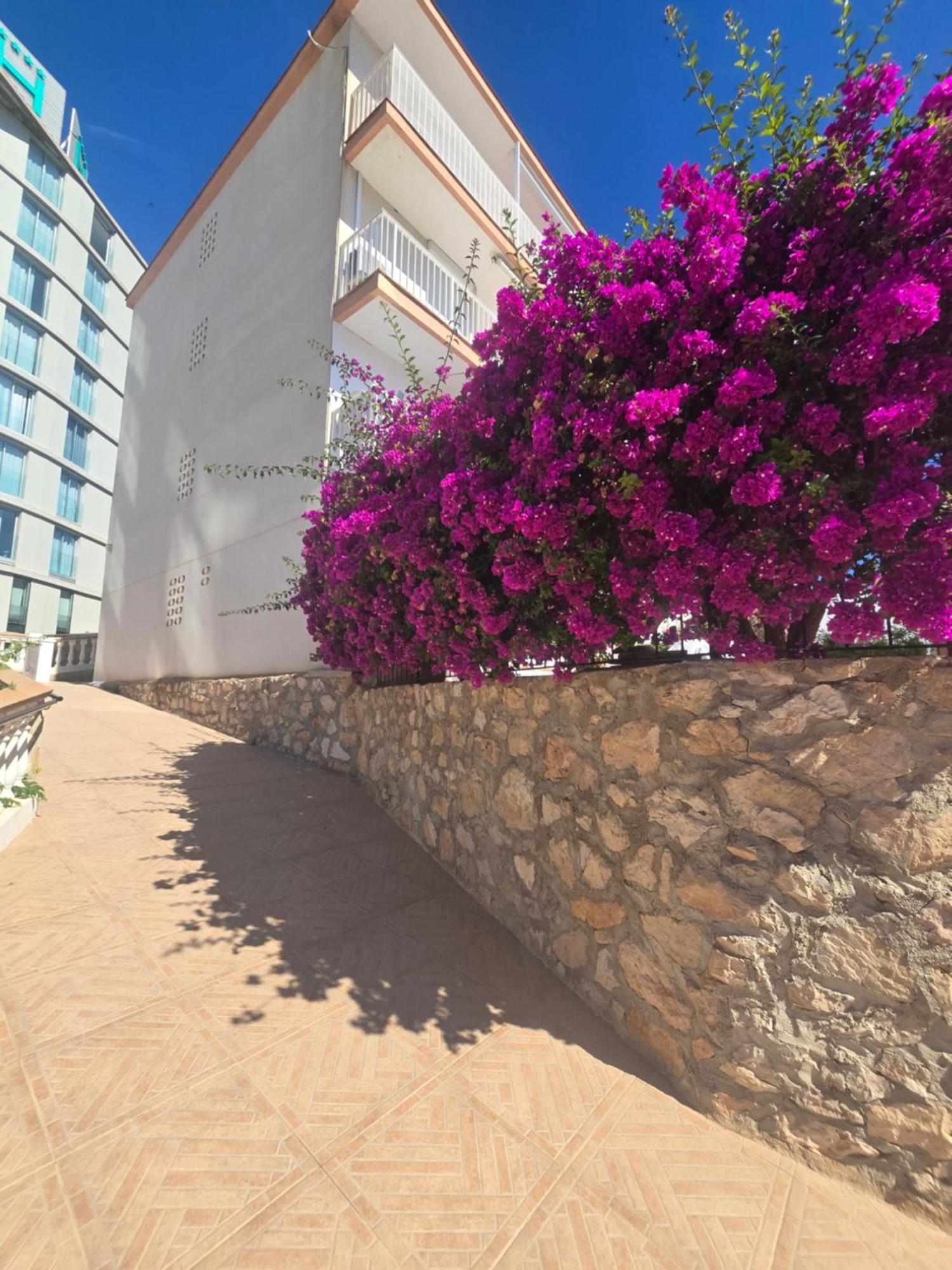 La Cantera Appartement Playa Peñíscola Екстериор снимка